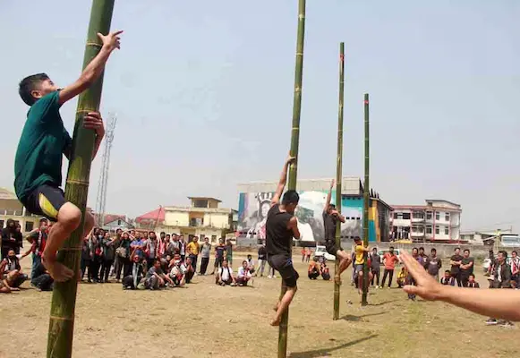 Seene Chaksunam- Bamboo Climbing
